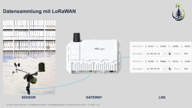 Ablauf der Datensammlung mit LoRaWAN: Vom Sensor über ein Gateway ins LNS.