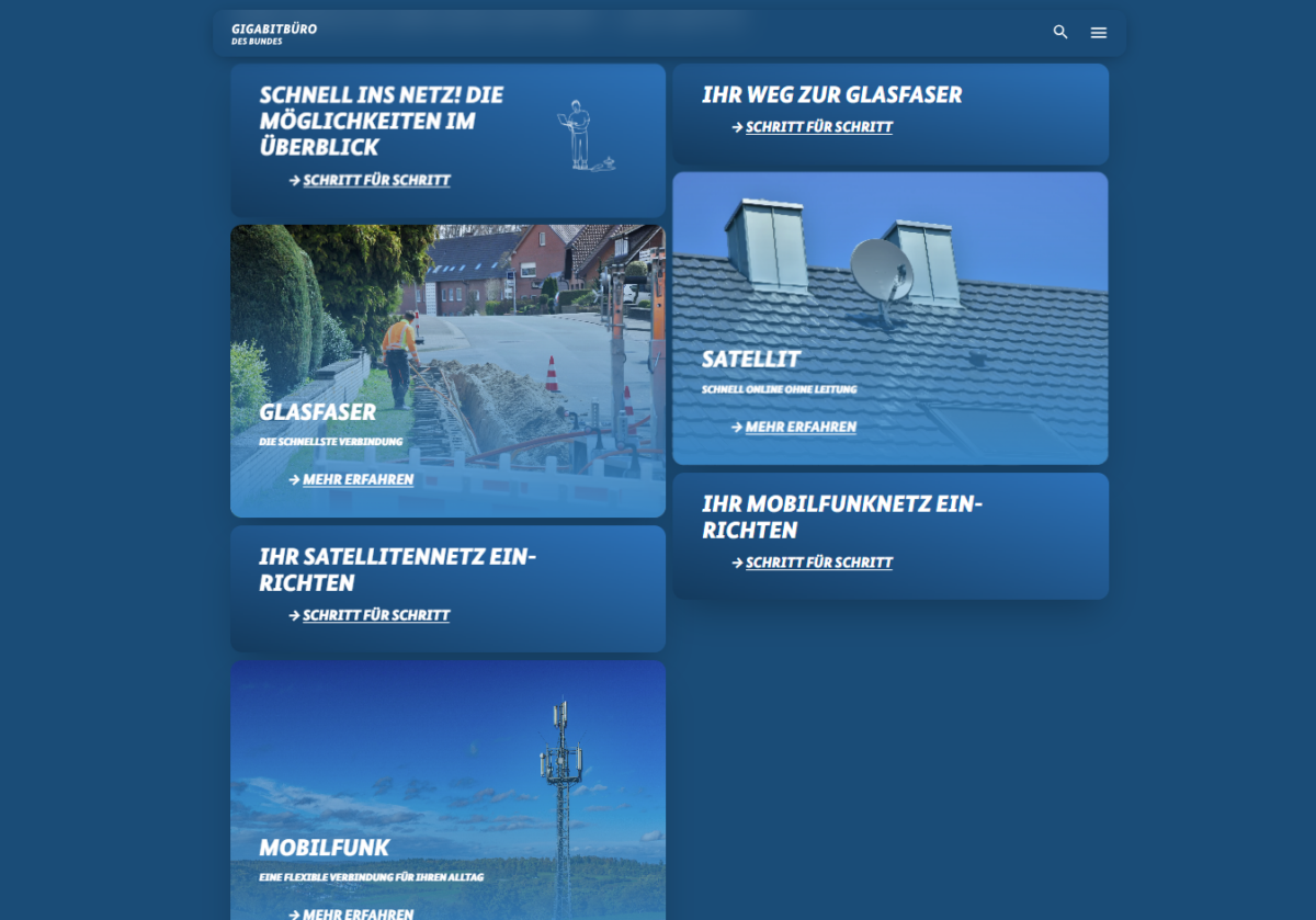 Screenshot der Artikel auf der Webseite "Schnell ins Netz"